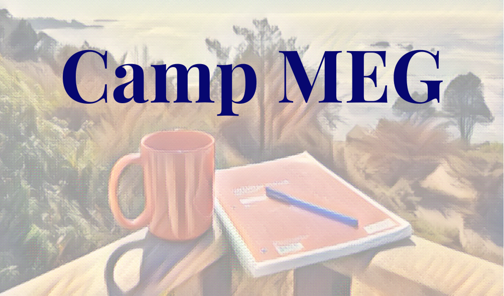 Camp MEG Banner 3